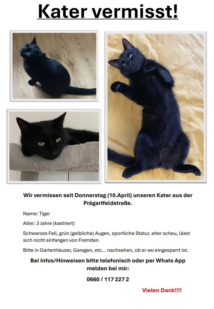 Tiger 250416-085423