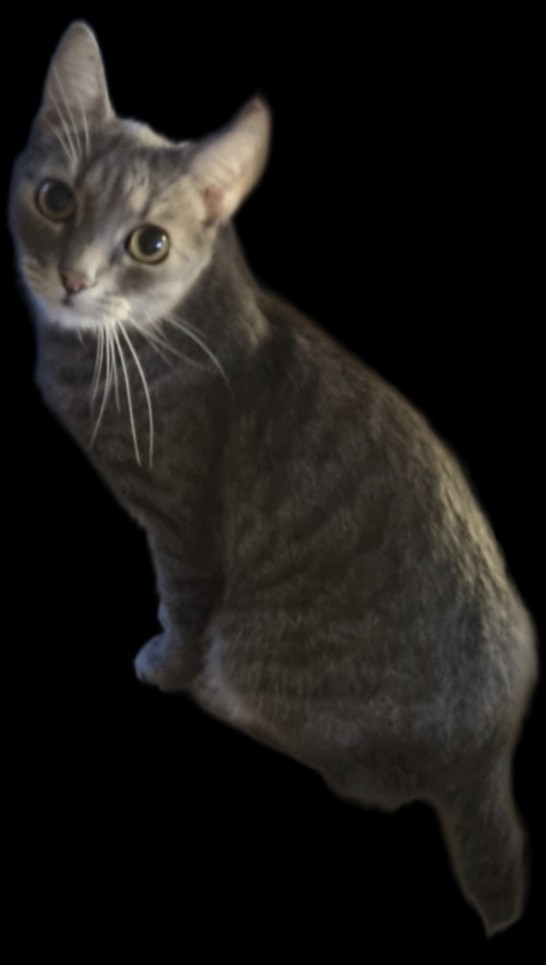Charlie 250901-231019