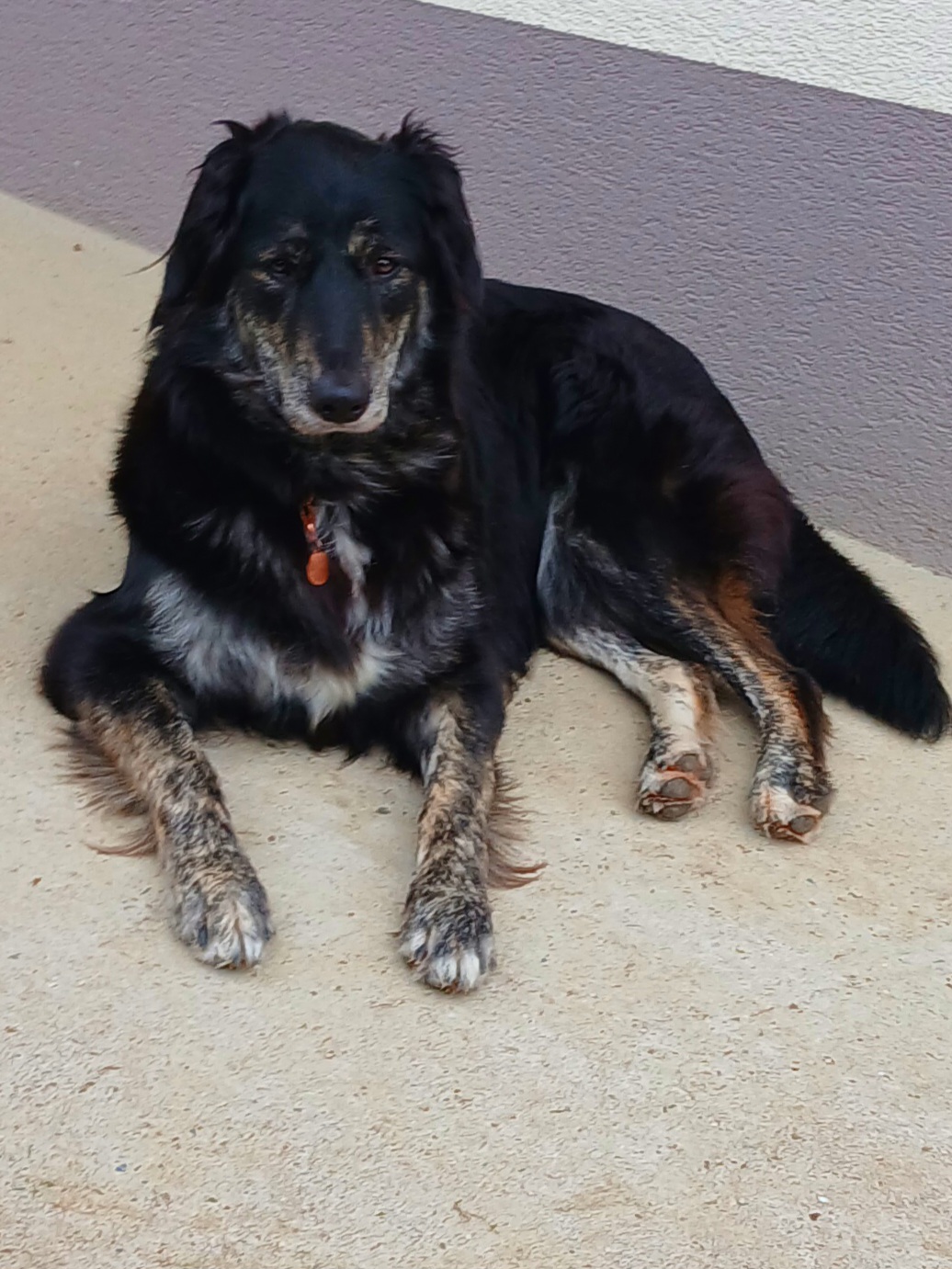 Scandy 260131-142214