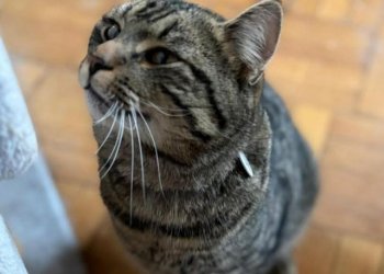 Unbekannt 260202-124025