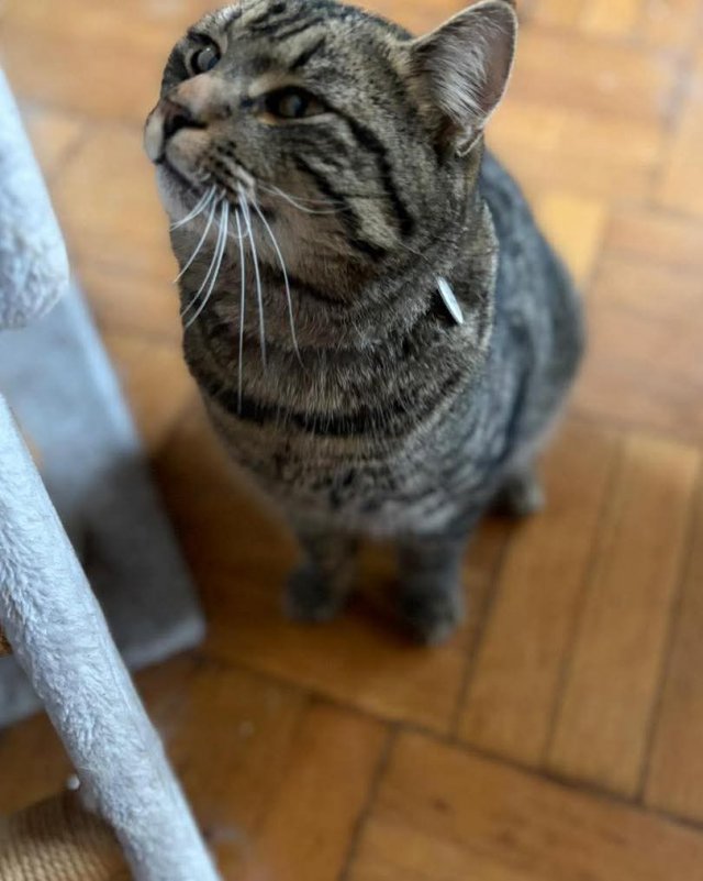 Unbekannt 260202-124025