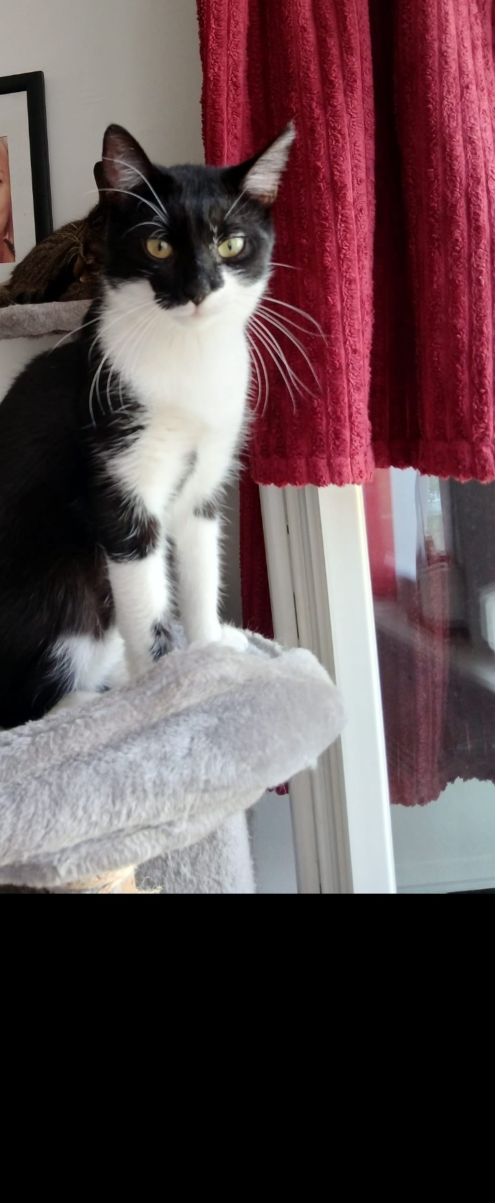 Cookie 260317-212557