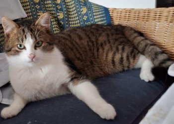 Adrian 260207-170115