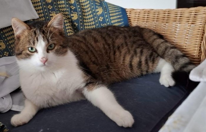 Adrian 260207-170115