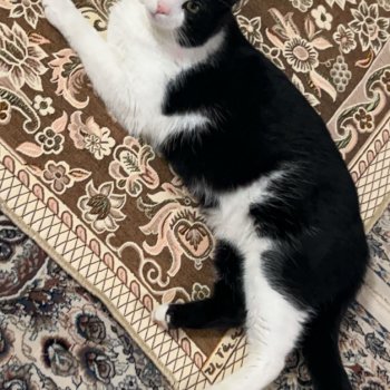 Akatsuki 260104-163719