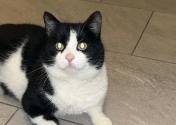 Akatsuki 260104-163719