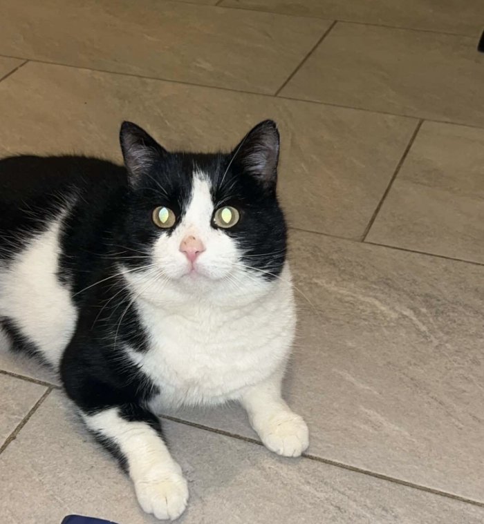 Akatsuki 260104-163719