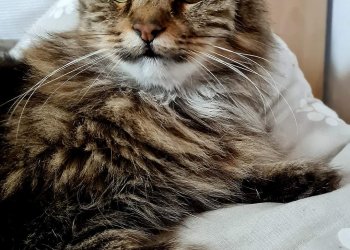 Aljoscha(Joschi) 250901-000434