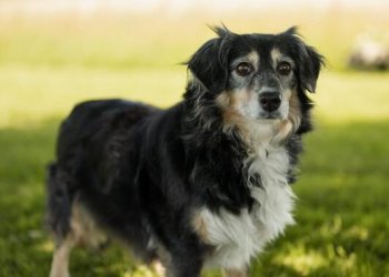 Annie 251009-124017
