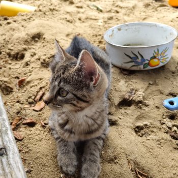 Anouki 250821-075811