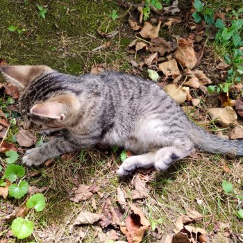 Anouki 250821-075811