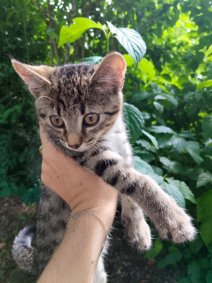 Anouki 250821-075811