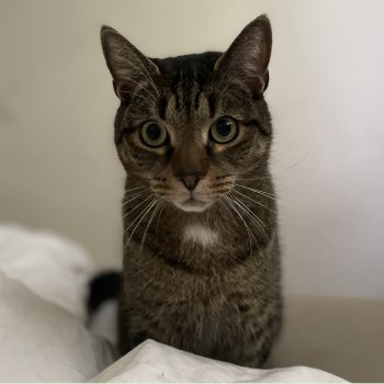 Archie  250630-091332