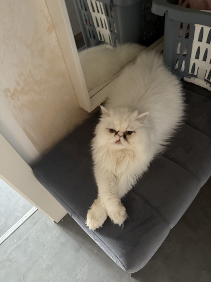 BELLA 260512-093234