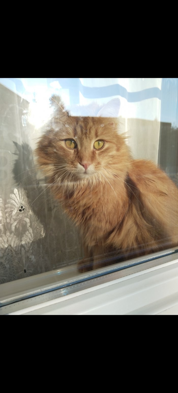 BEREKET 250924-194729