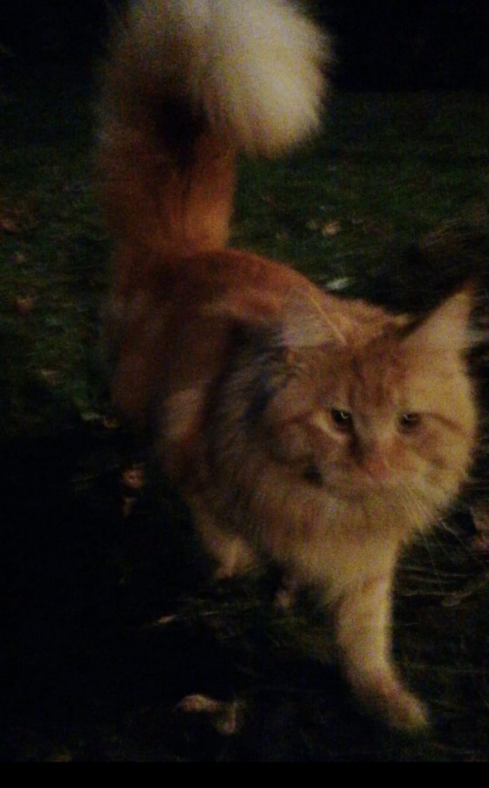 BEREKET 250924-194729