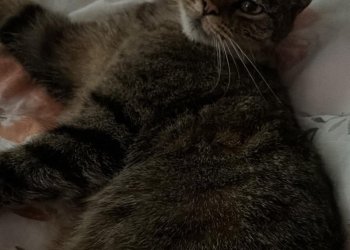 Baby/Mitzi 260518-223602