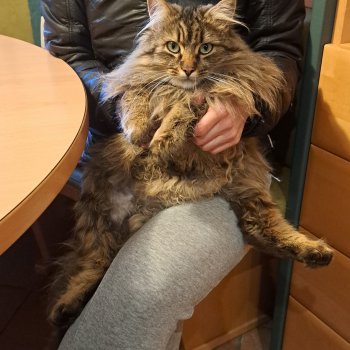 Bärli 260312-165915