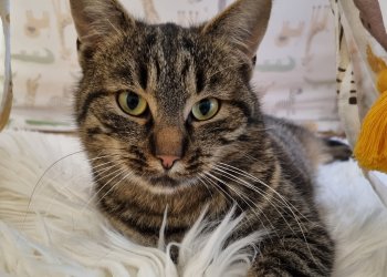 Bärtl 260424-080122