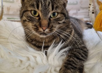 Bärtl 260424-080122