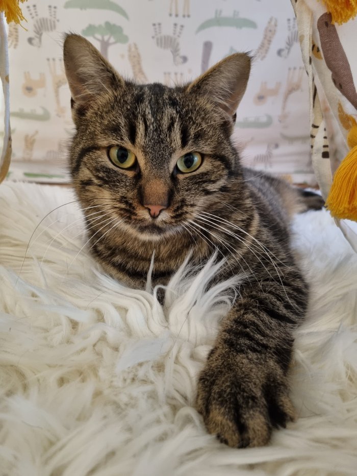 Bärtl 260424-080122