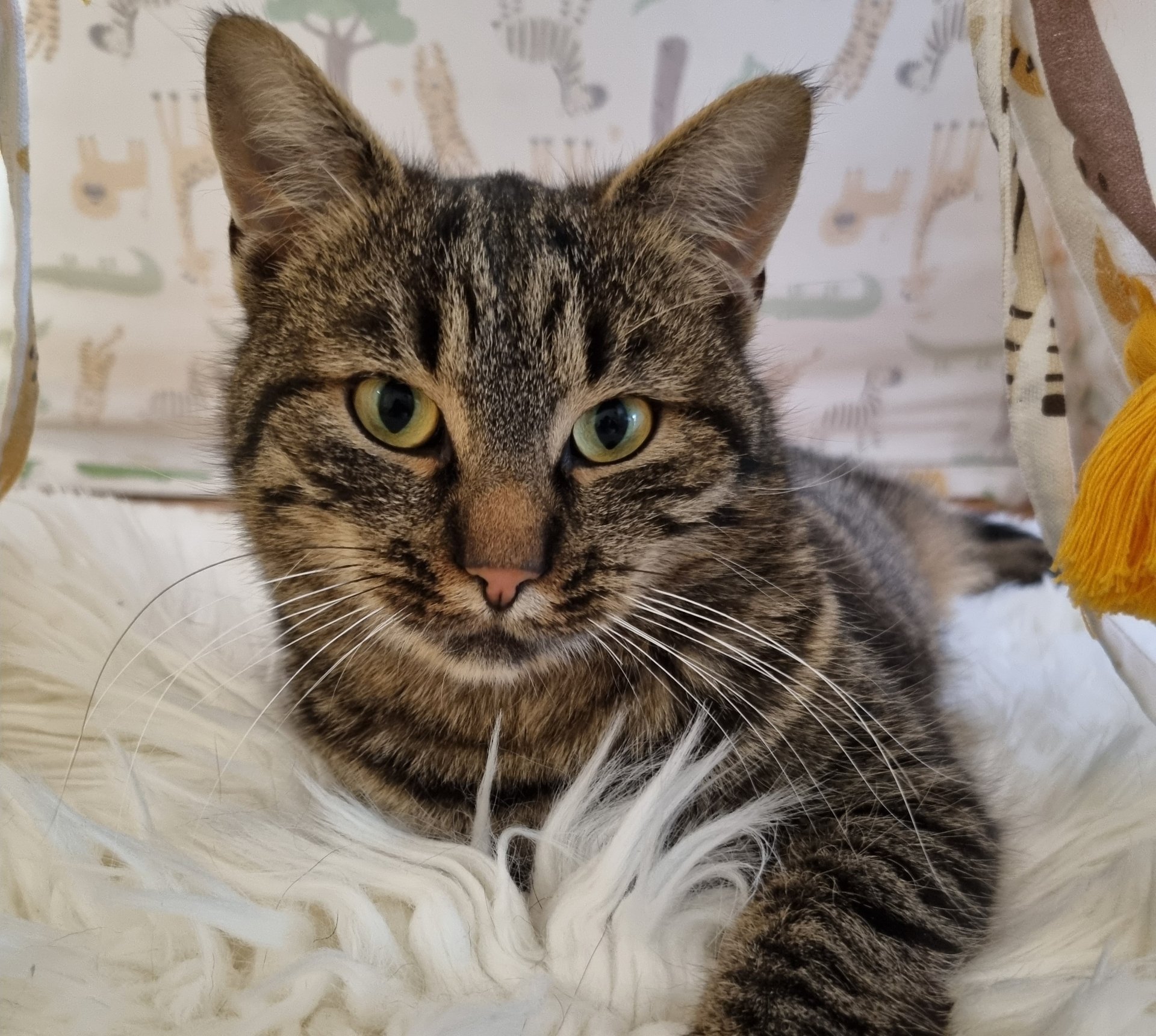 Bärtl 260424-080122