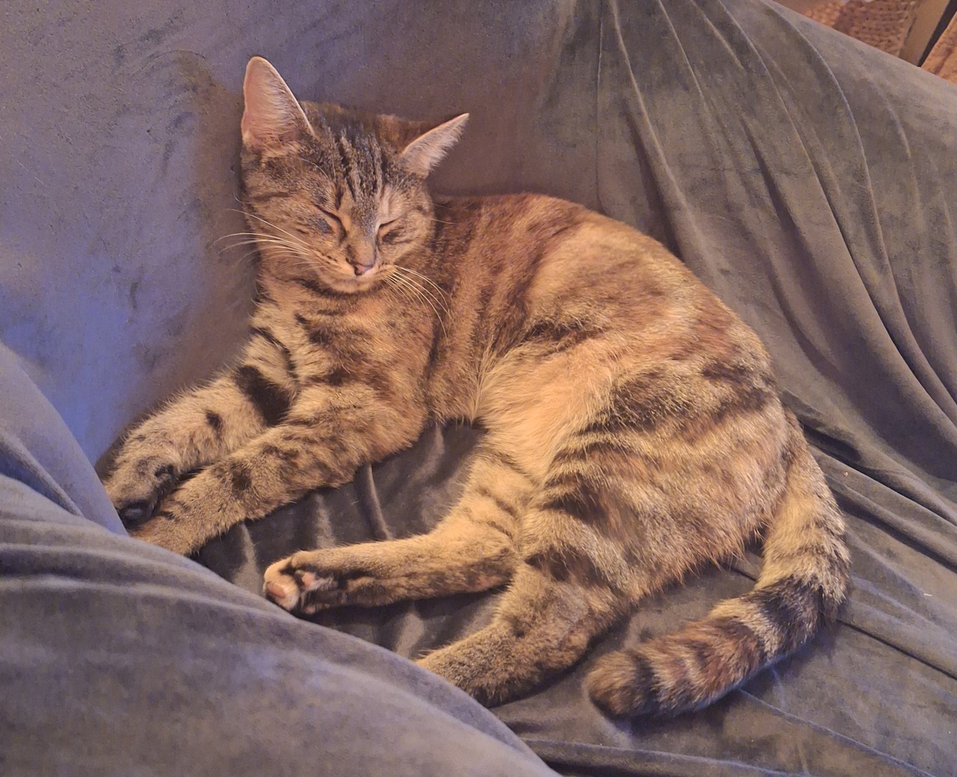 Bagihra 250930-165321