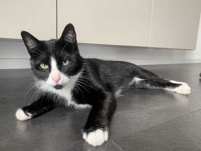 Bartolomeo 250901-211800