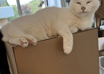 Bella 250426-193236