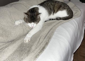 Birdie 260423-164248