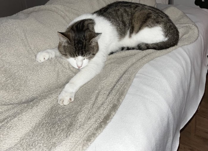 Birdie 260423-164248