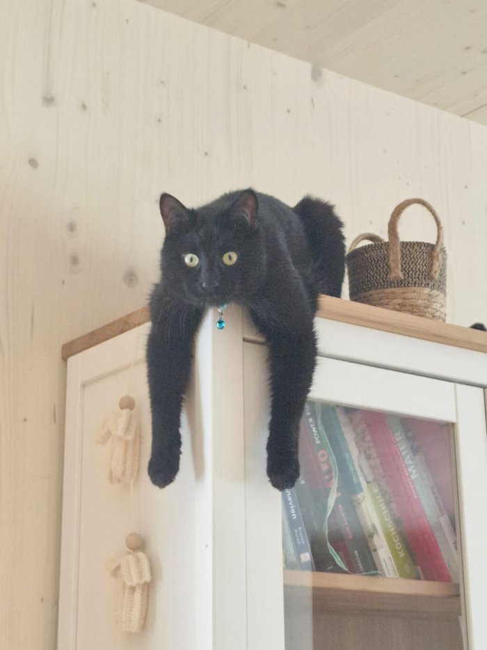 Blacky 251001-133413