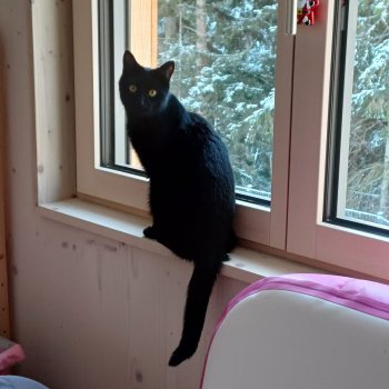 Blacky 251001-133413