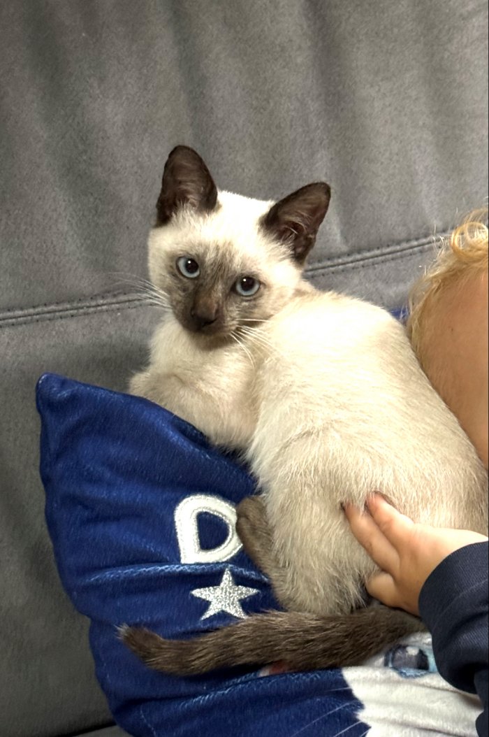 Bluey 251017-105107
