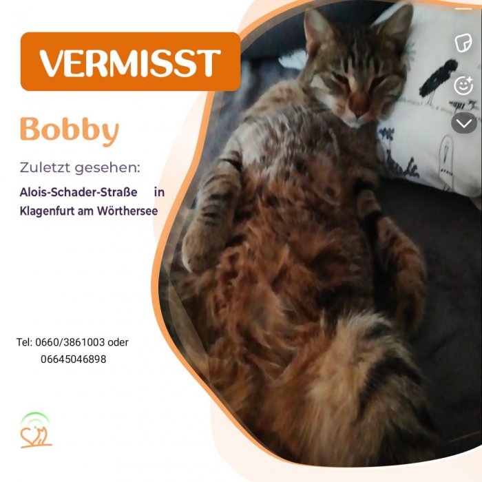 Bobby 250728-095213