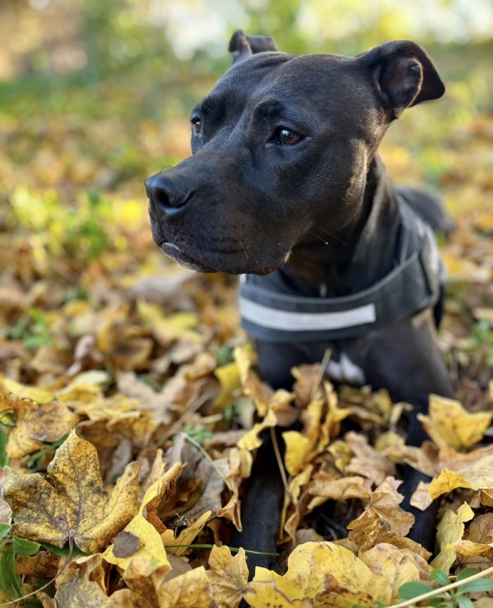 Bonita 251105-032821