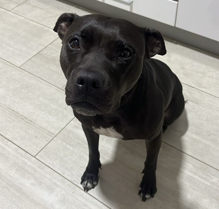 Bonita 251105-032821