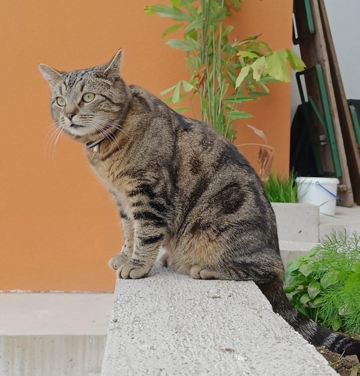 Bruno 250724-164611