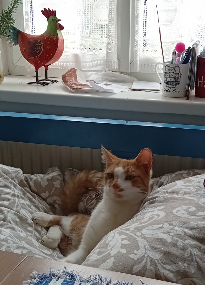 Bubica 251124-120915