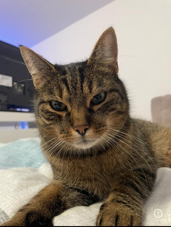 Buddy 250913-092322