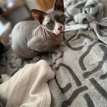 Camilla  250906-150948