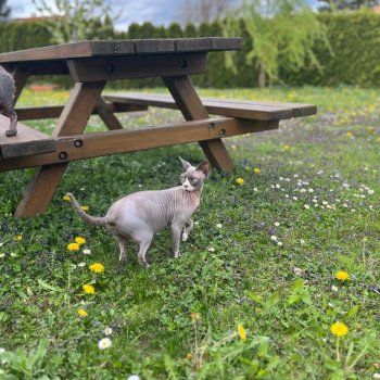 Camilla  250906-150948