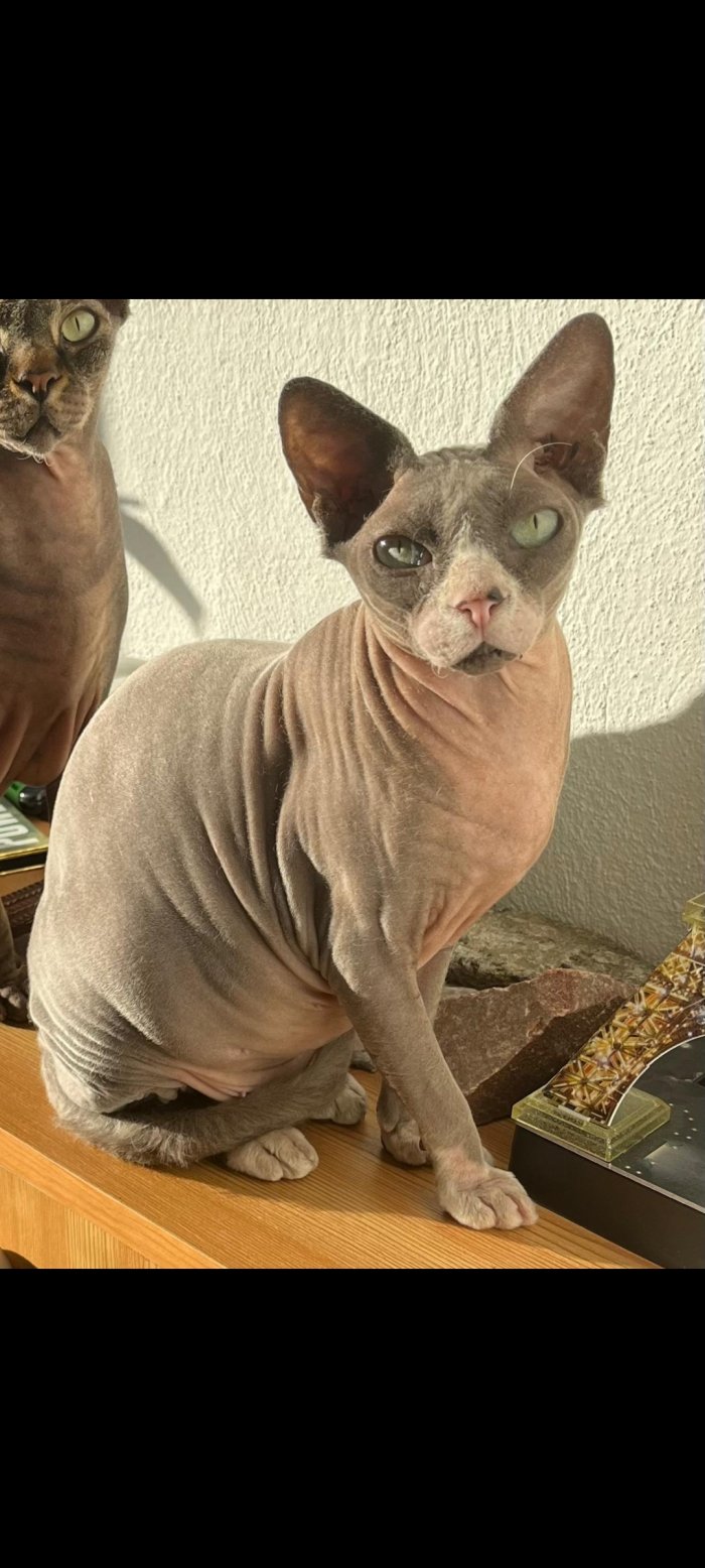 Camilla  250906-150948