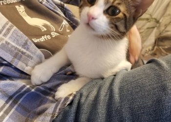 Cappuccino 260224-233707