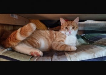 Carlos 260220-172207