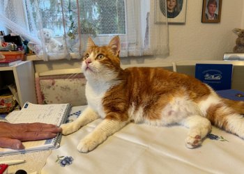 Carlos/Mutzi 260319-211542