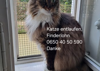 Carmen 260424-183844