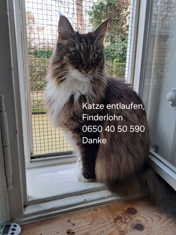 Carmen 260424-183844