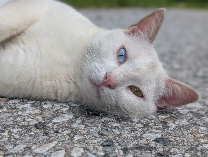 Casali 260108-093314