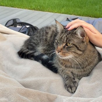 Caspar 251101-144747